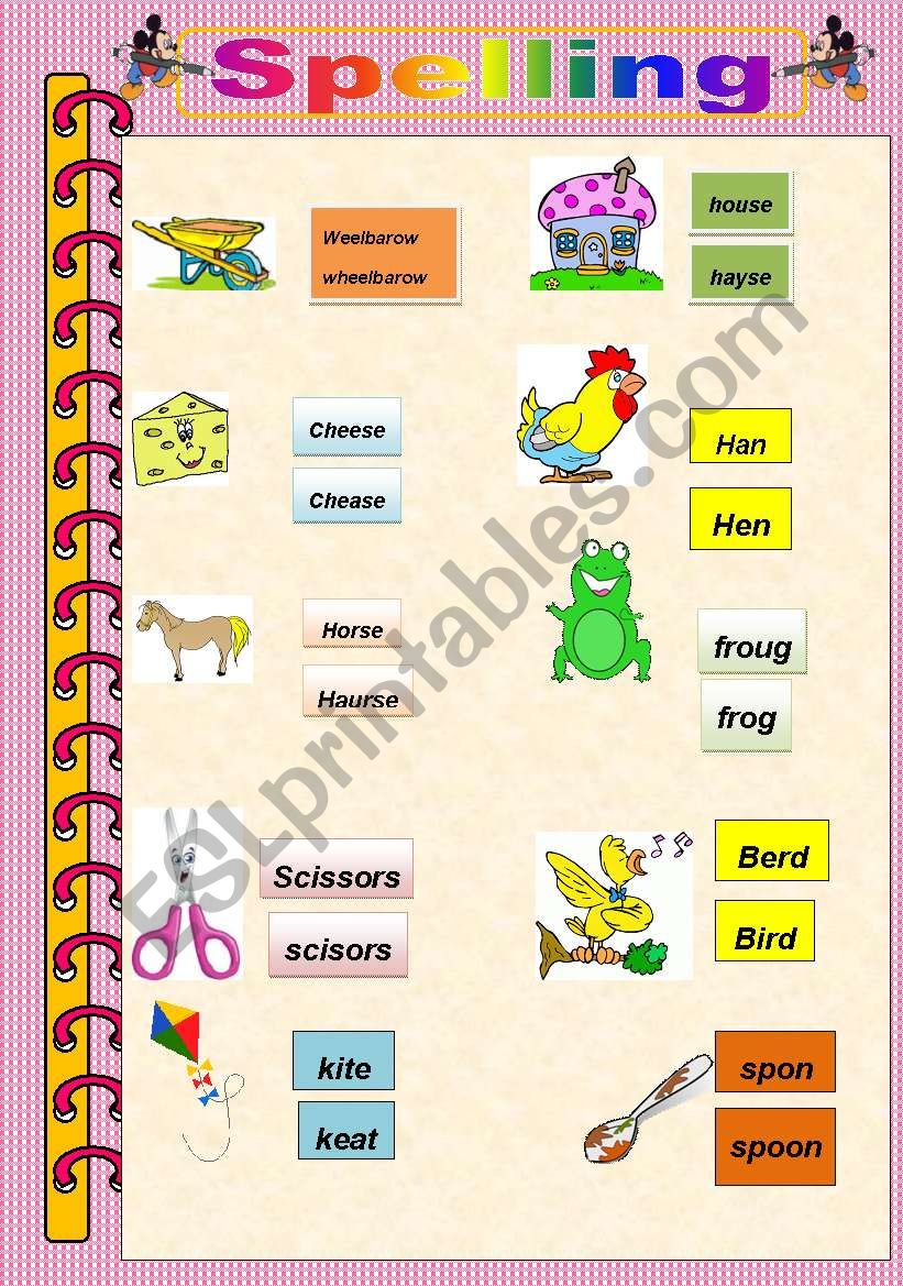 spelling worksheet