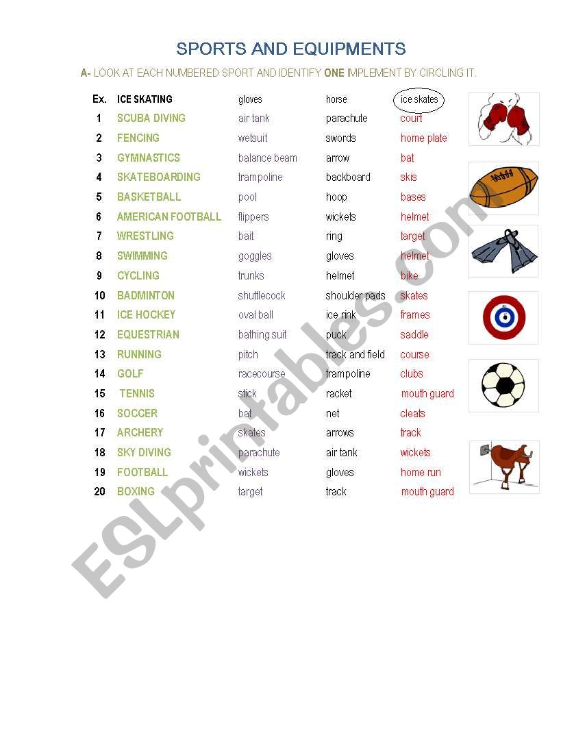 Sports and equipment worksheet