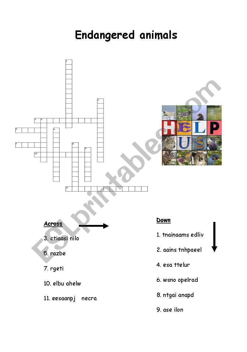 Endangered animals crossword worksheet