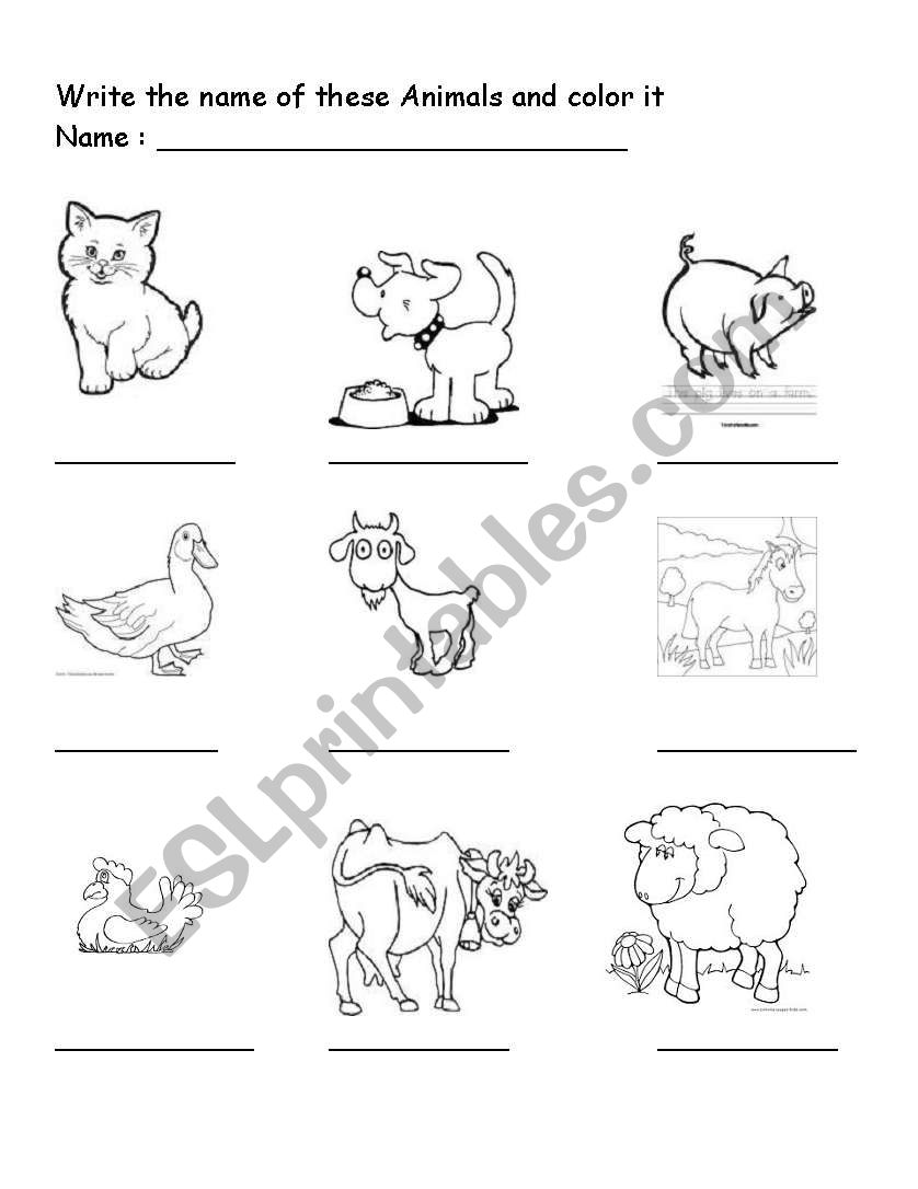 Domestic Animal worksheet