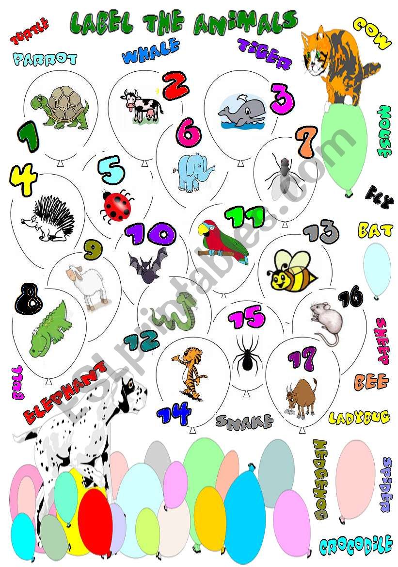 animals worksheet