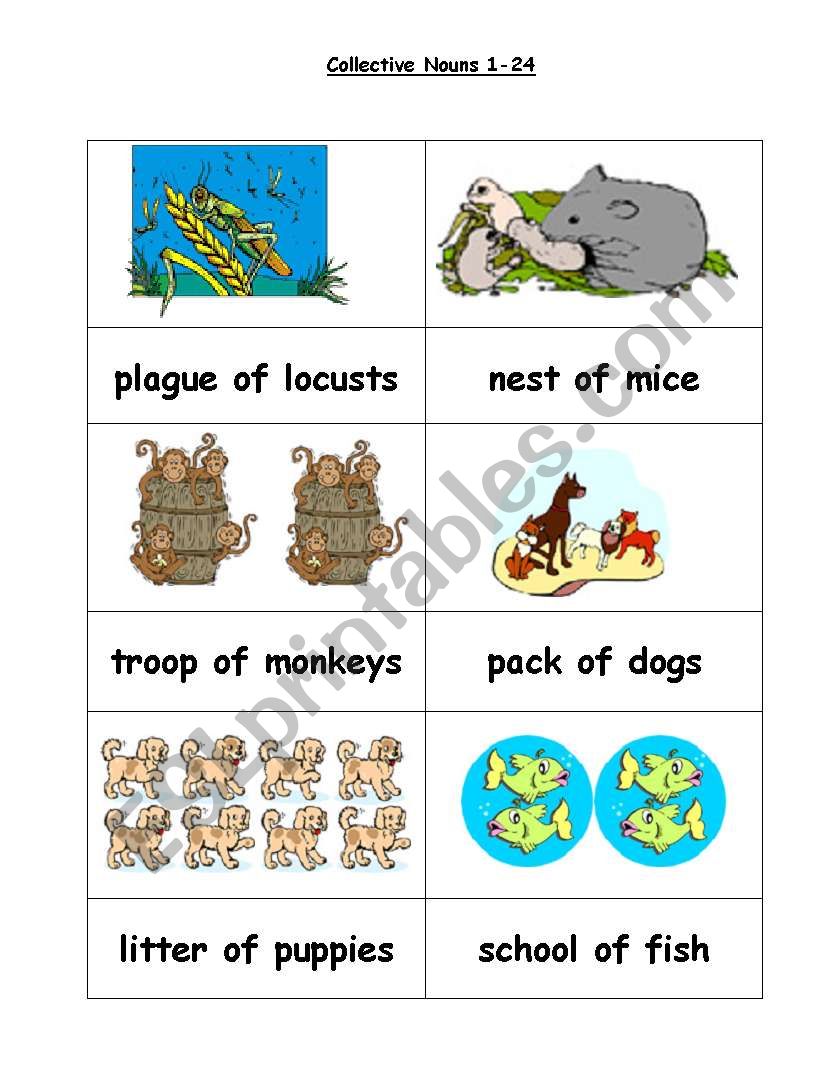 Collective nouns 1 to 24 worksheet