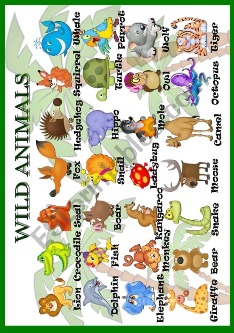 Wild animals (pictionary) worksheet