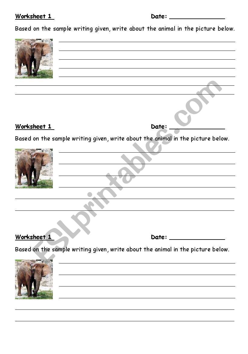 animal worksheet