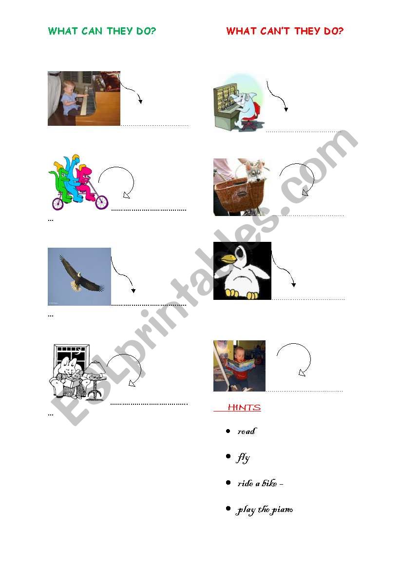 Can / Cant worksheet