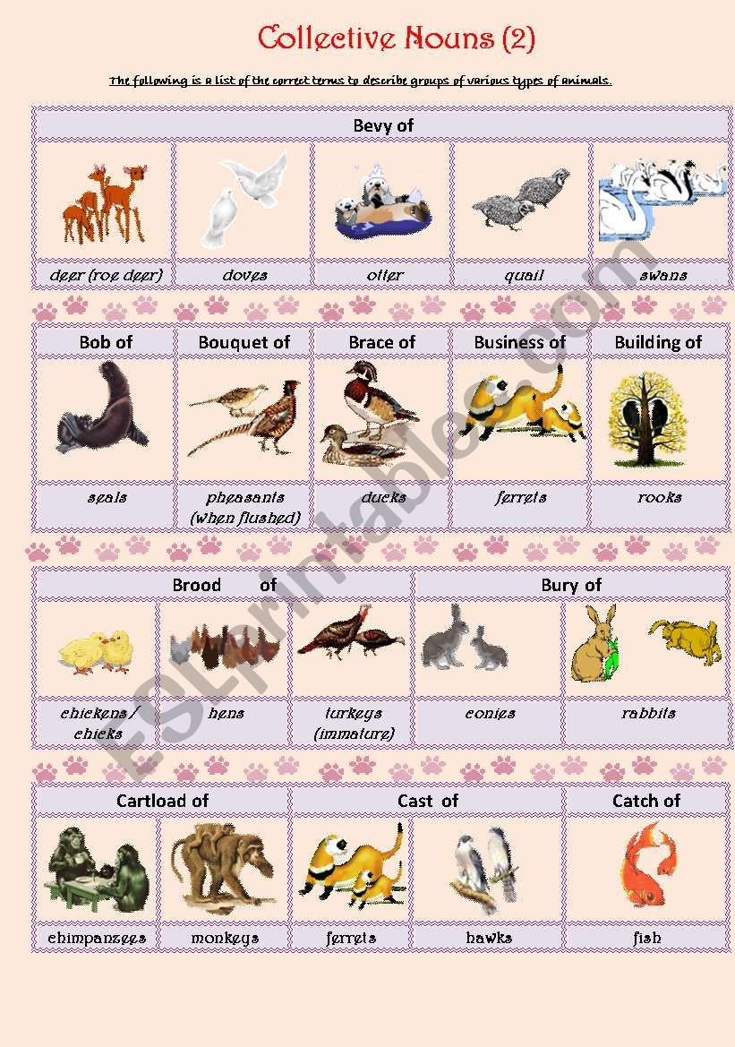 Collective Nouns (animals) 2 - ESL worksheet by smiya