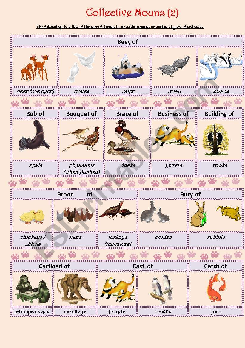 Collective Nouns (animals) 2 worksheet