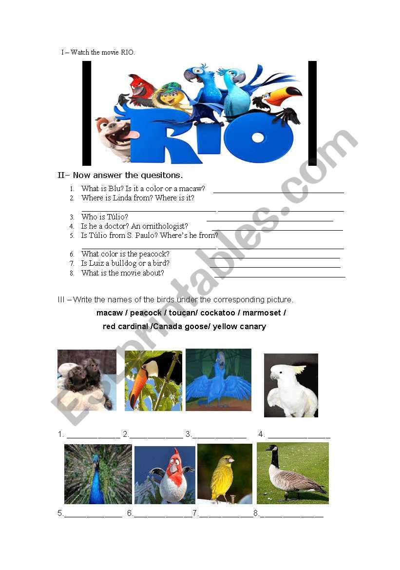 RIO worksheet