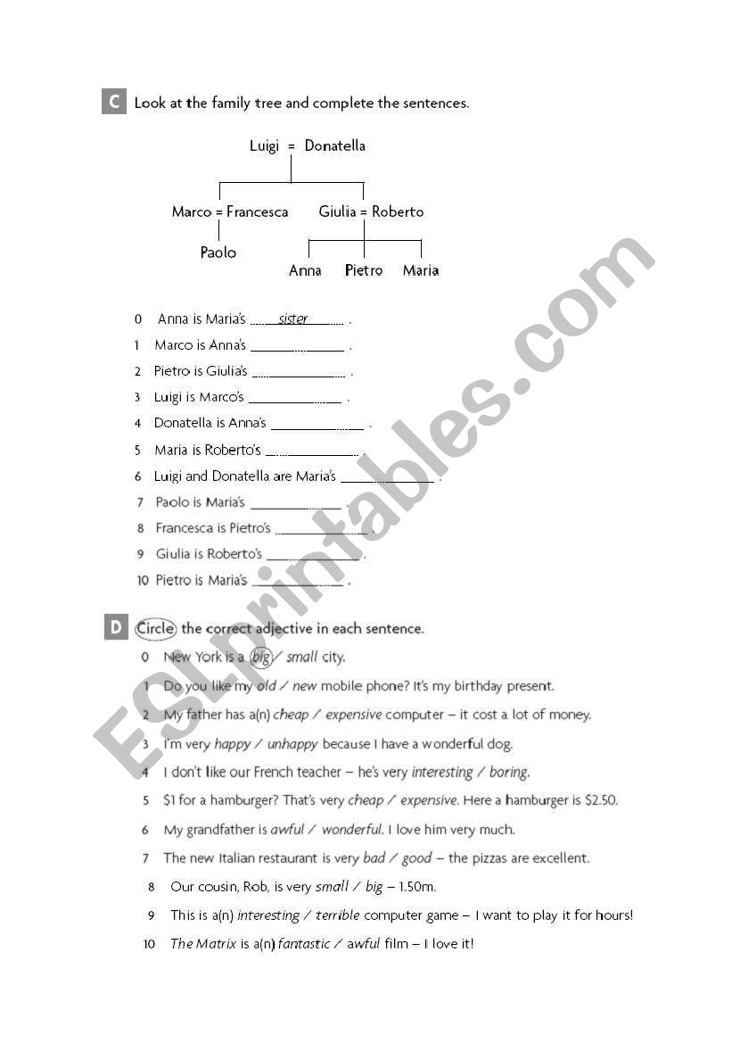 Vocabulary review test worksheet