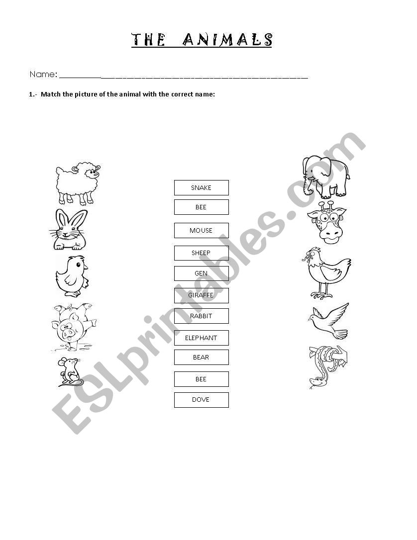 the animals worksheet