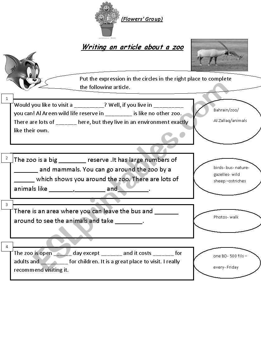 an article about a zoo worksheet