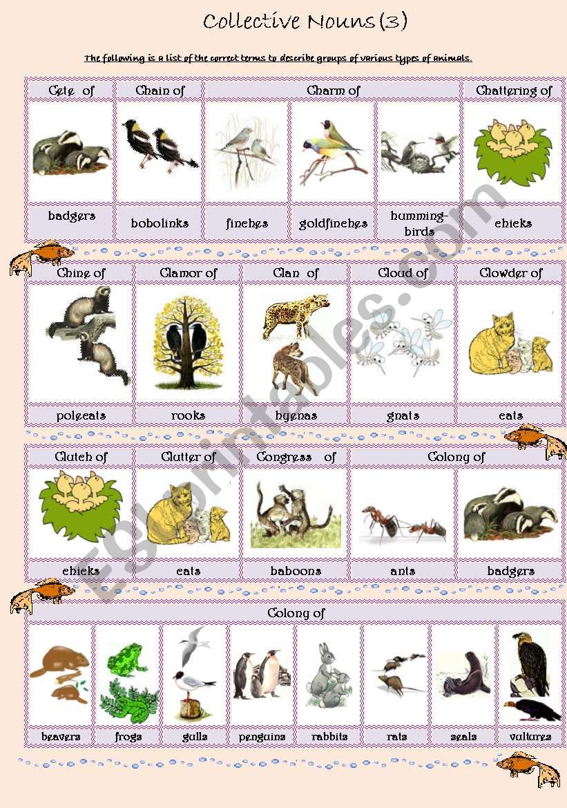 Collective Nouns (animals) 3 worksheet