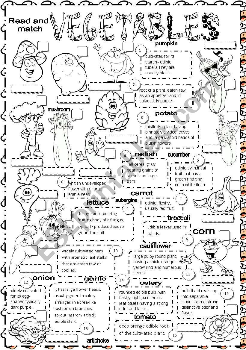 vegetables worksheet