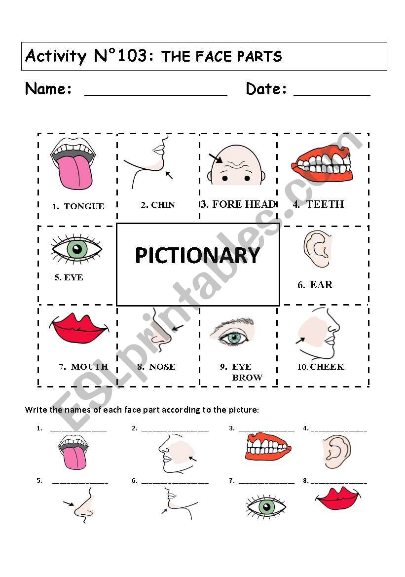 THE FACE PARTS PICTIONARY worksheet
