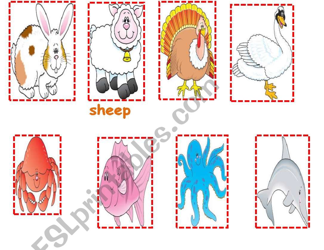 animals cards worksheet