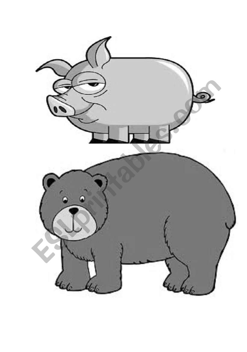 animals worksheet