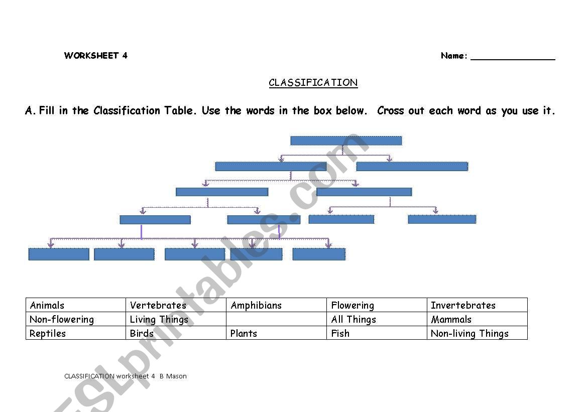 classification table worksheet