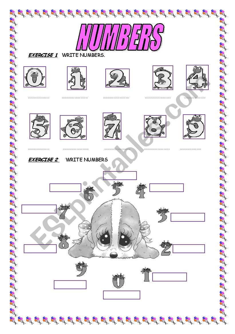 NUMBERS worksheet