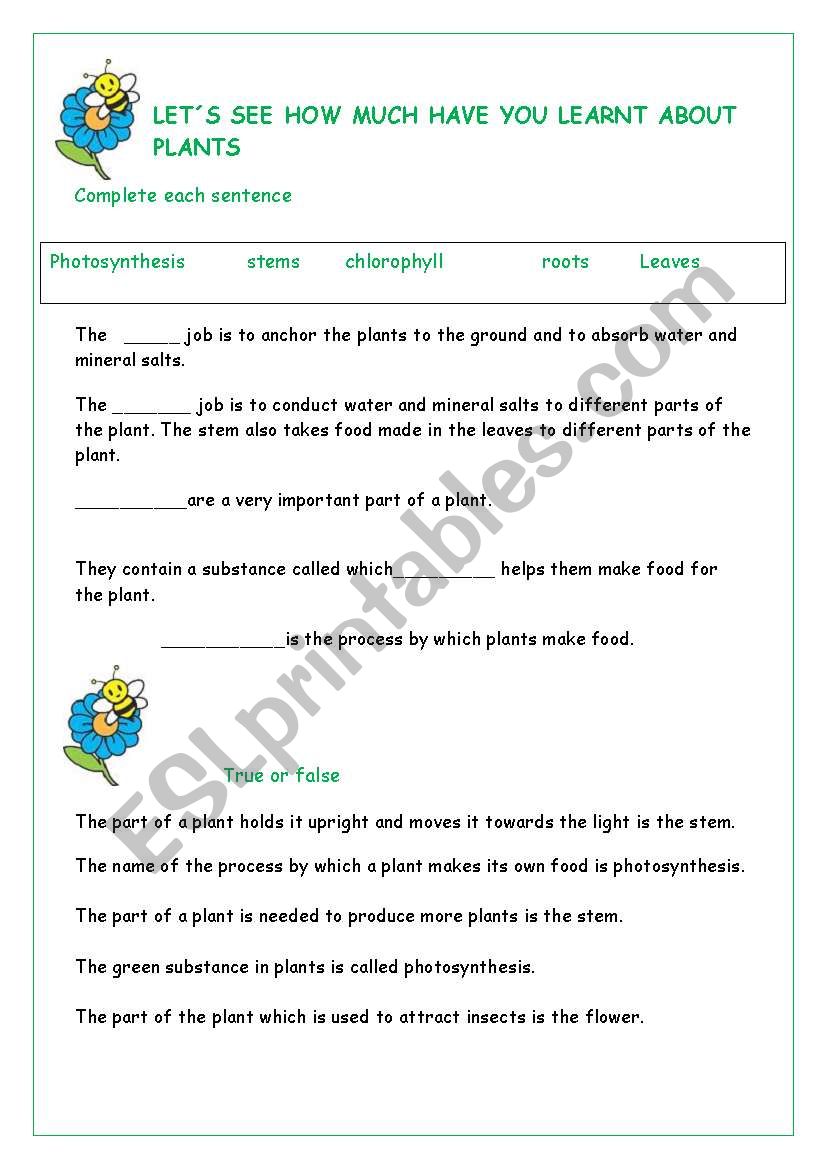 Flowers and plants worksheet