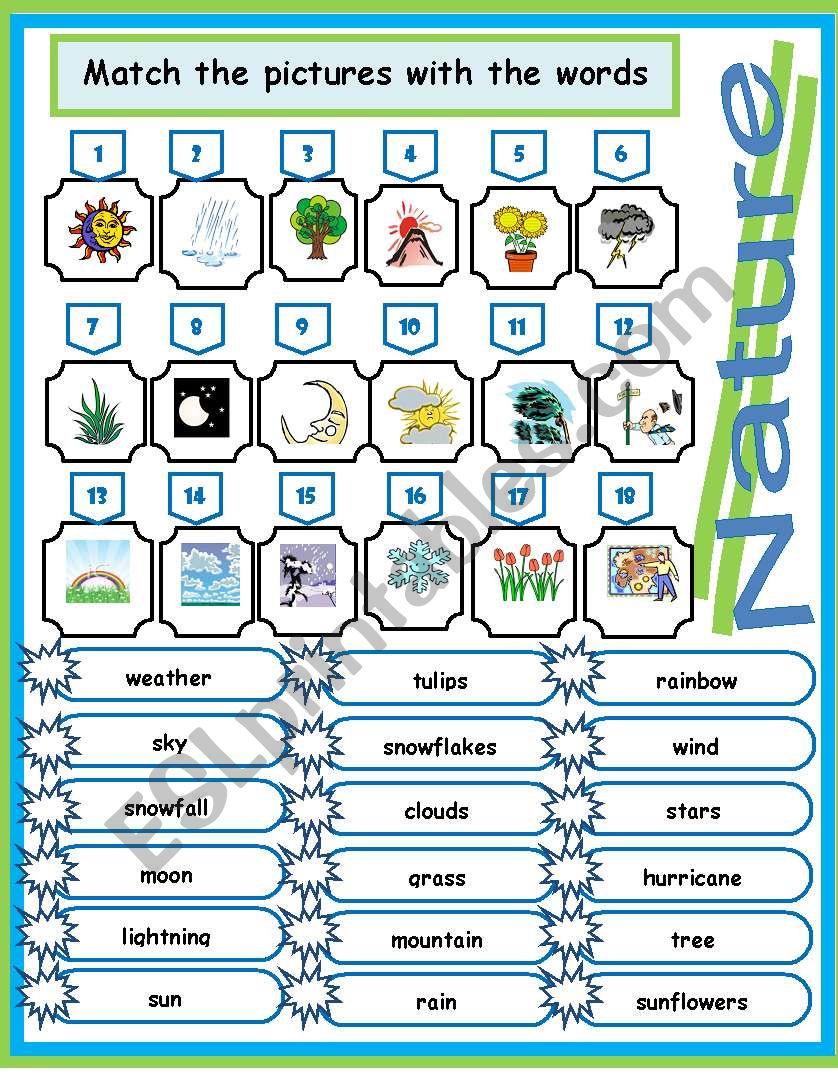 Nature words ( Match) worksheet