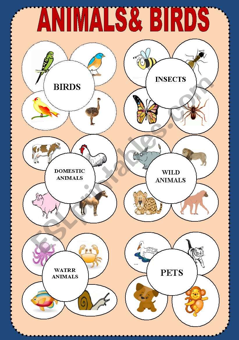 ANIMALS worksheet