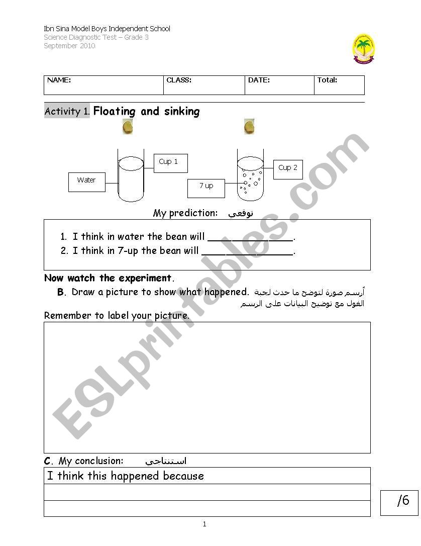 test worksheet
