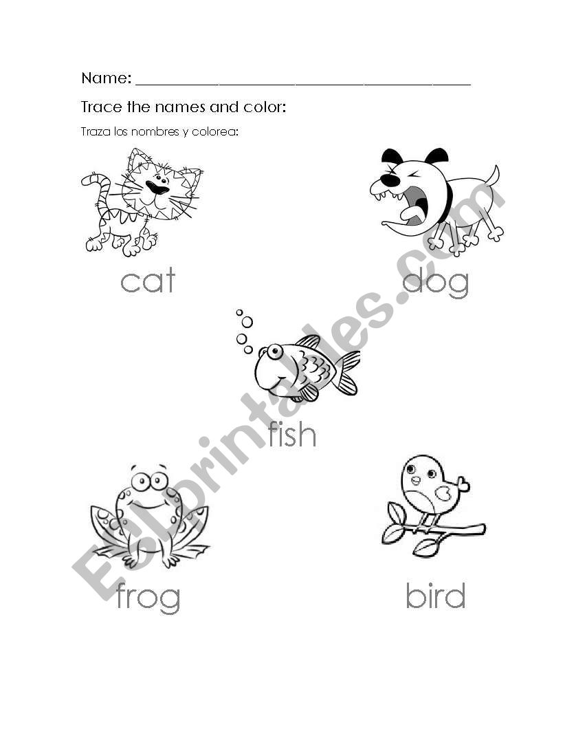 pets worksheet