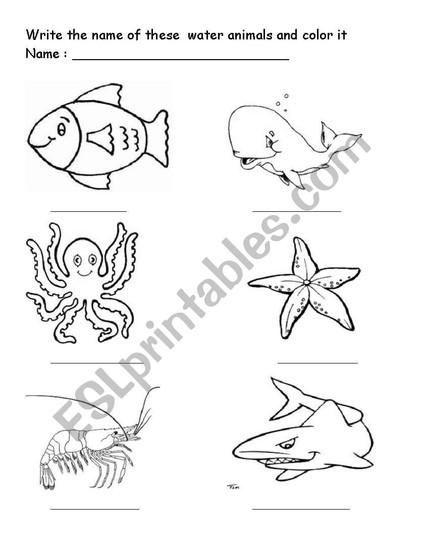 Name and color aquatic animals - ESL worksheet by bivhu