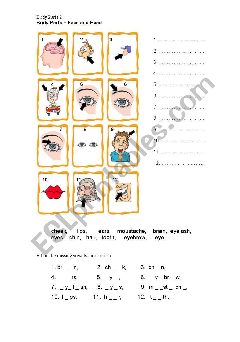 Body Parts 2 worksheet