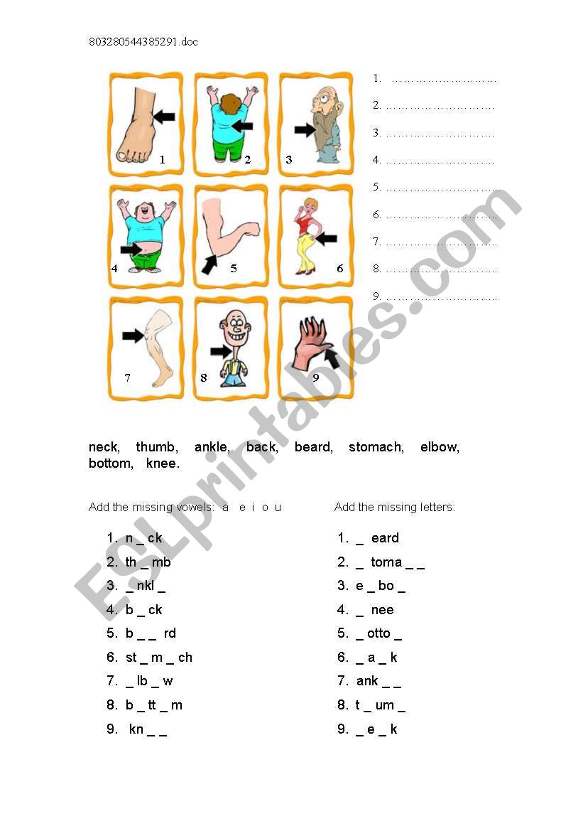 Body Parts 3 worksheet