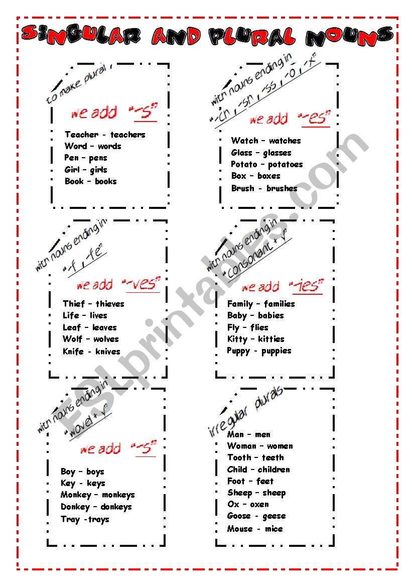 singular-plural (grammar-guide+exercises)