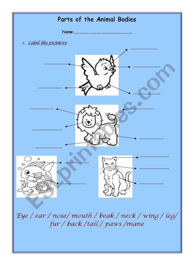 Parts of the Animal Bodies worksheet