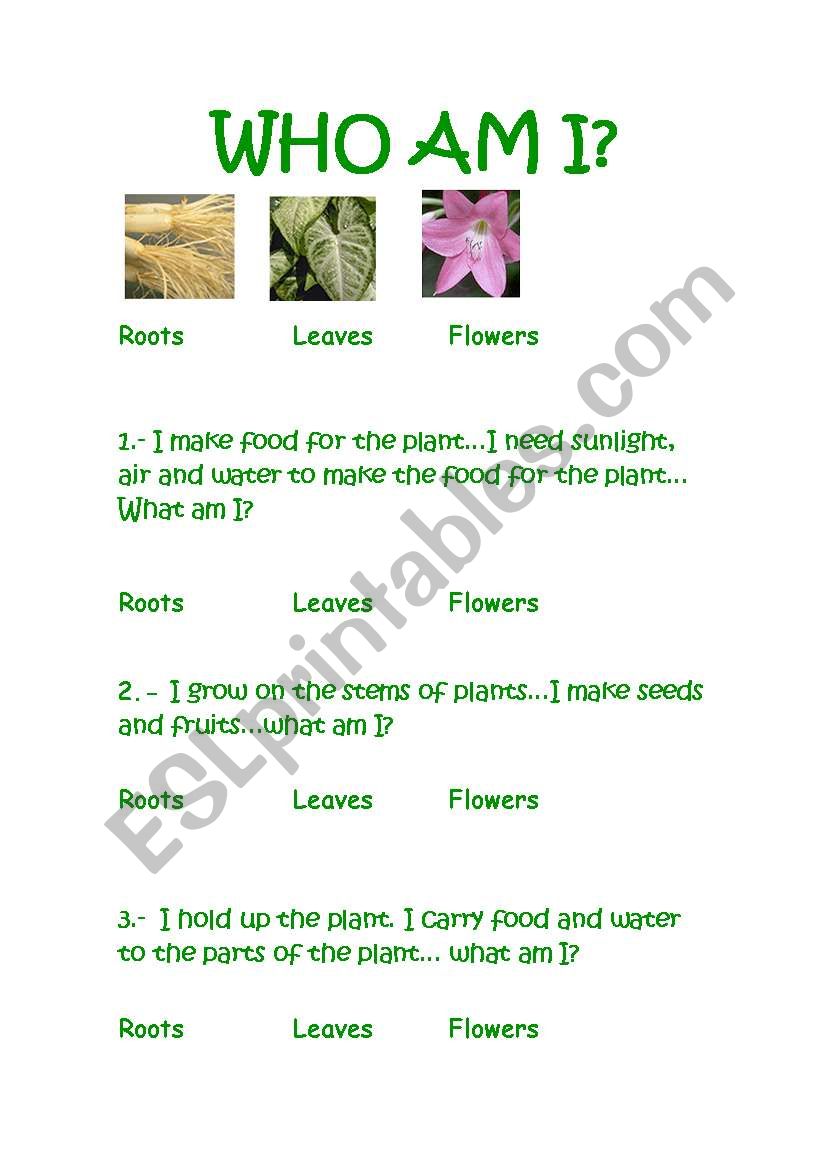 Who am I? worksheet