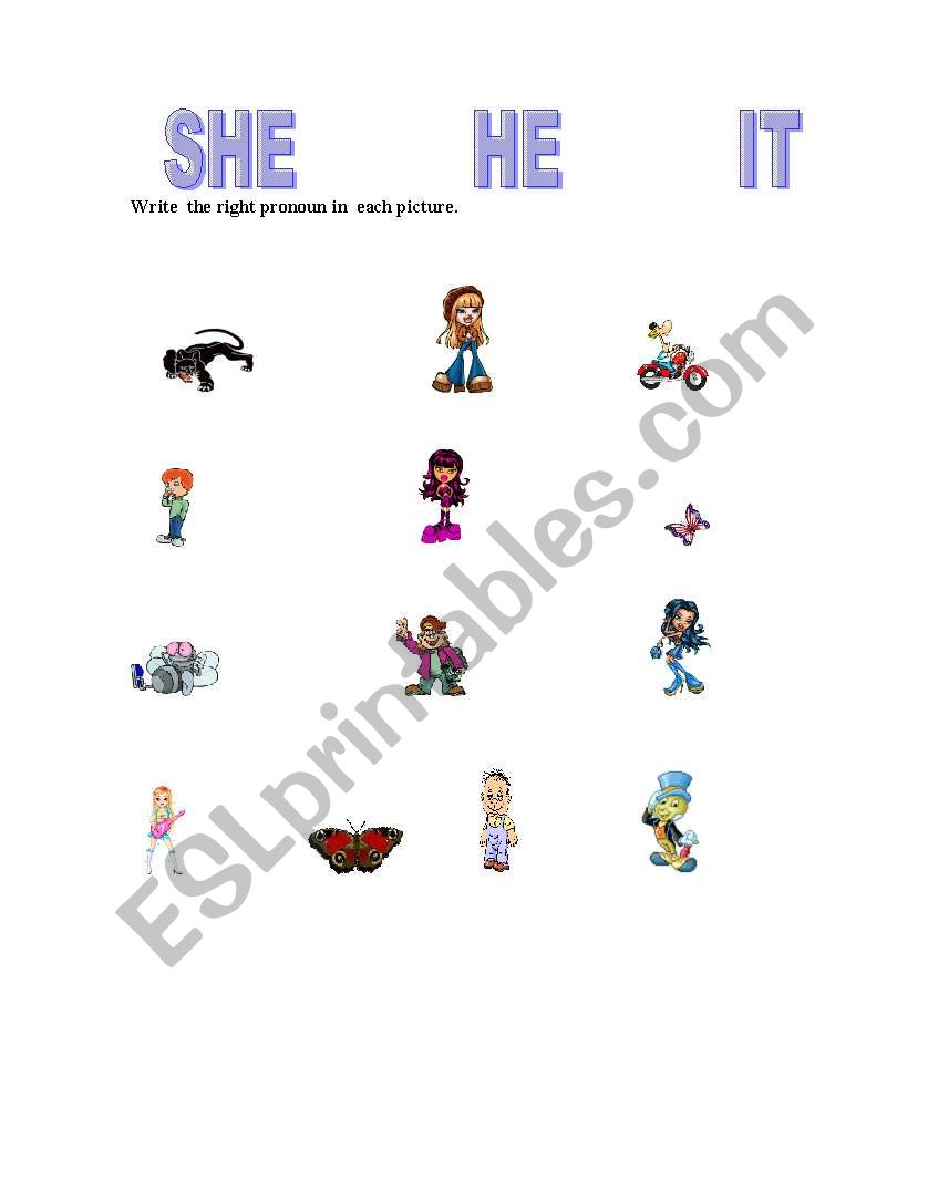 More Pronouns!!! worksheet