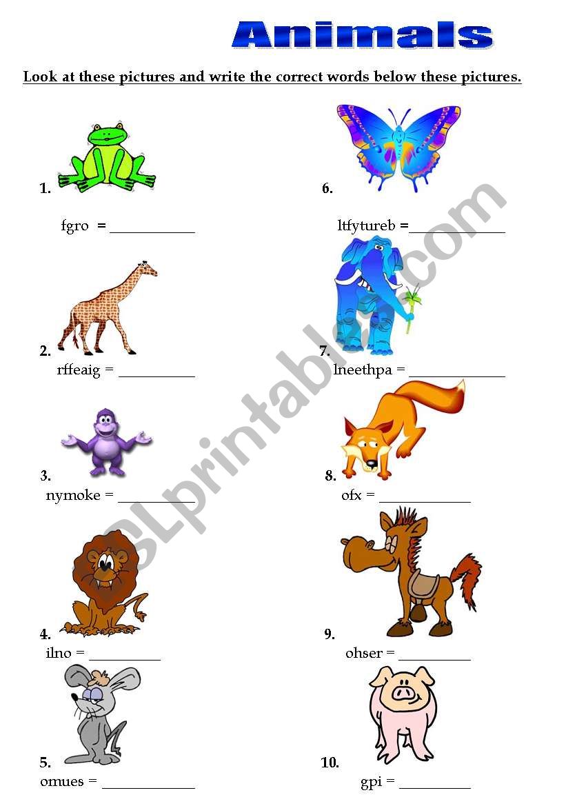 animal worksheet