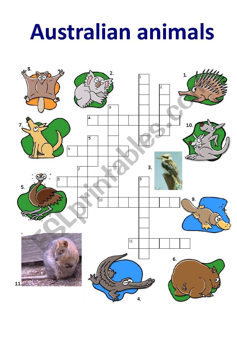 kondom Kategori Bliv forvirret Australian Animals I - ESL worksheet by anucette