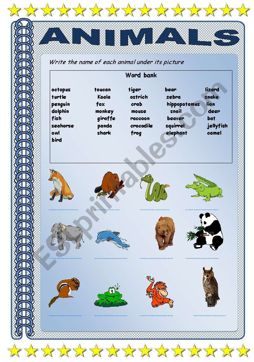 Wild animals worksheet