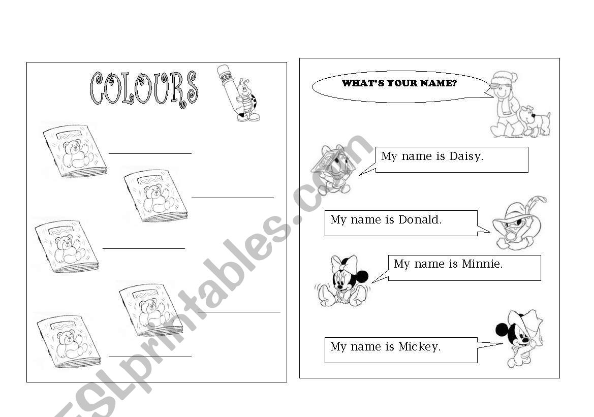 whats your name? worksheet