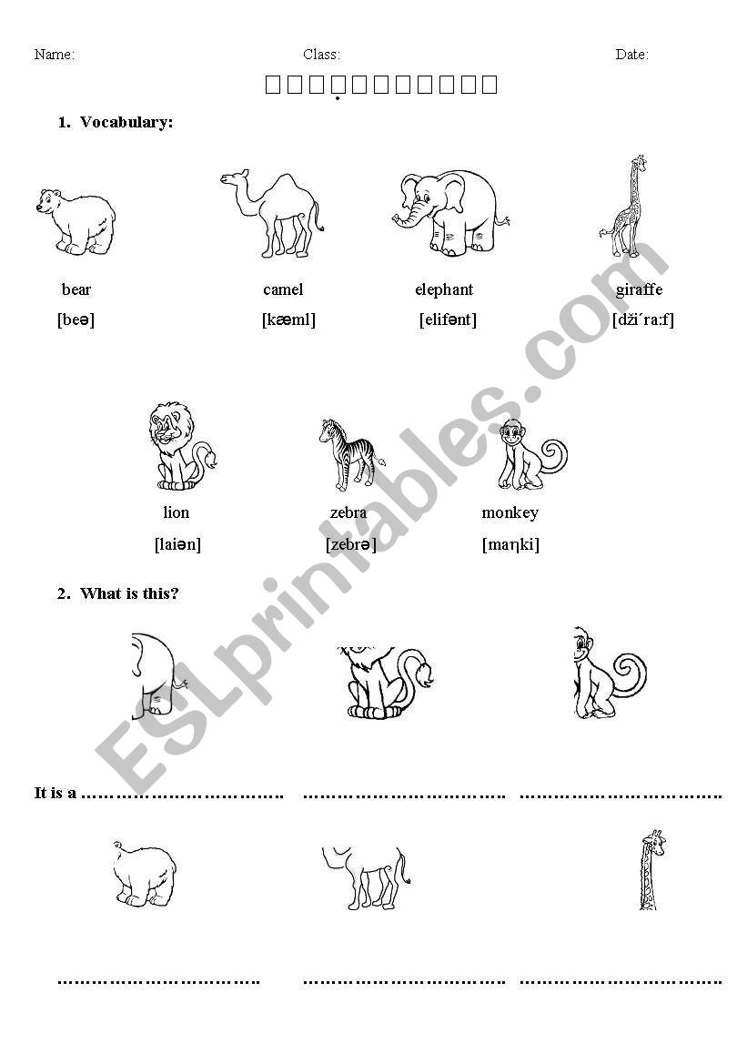 Wild animals worksheet