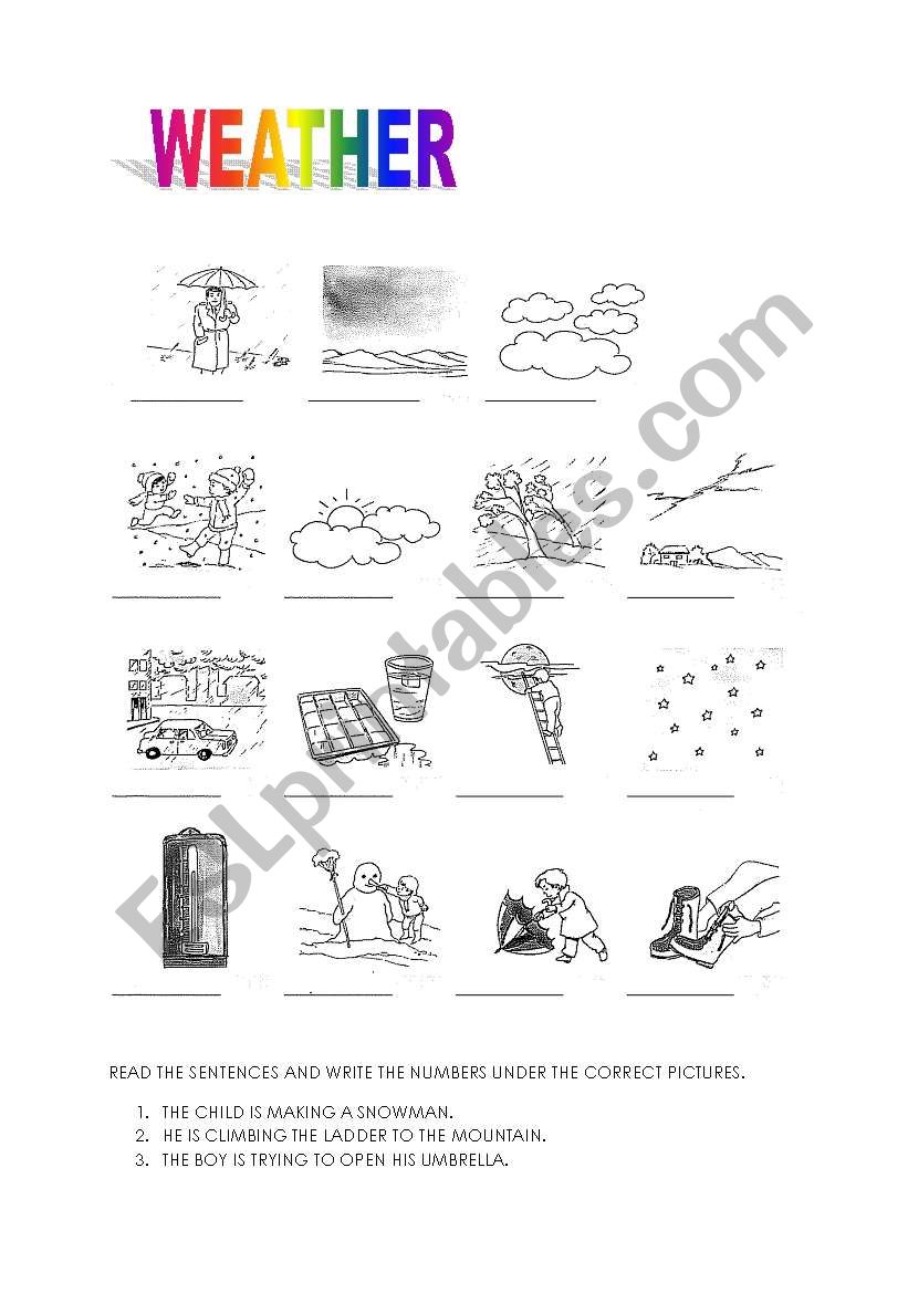 WEATHER CONDITIONS worksheet