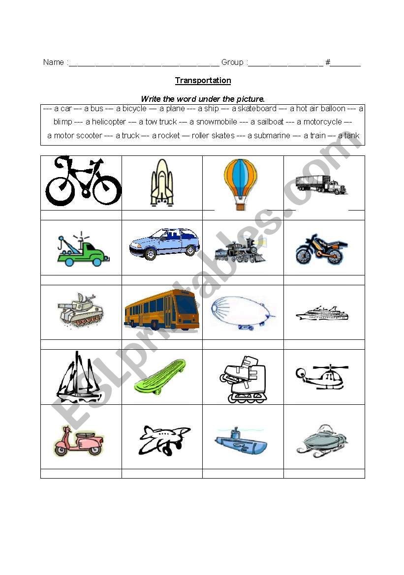 Transports worksheet