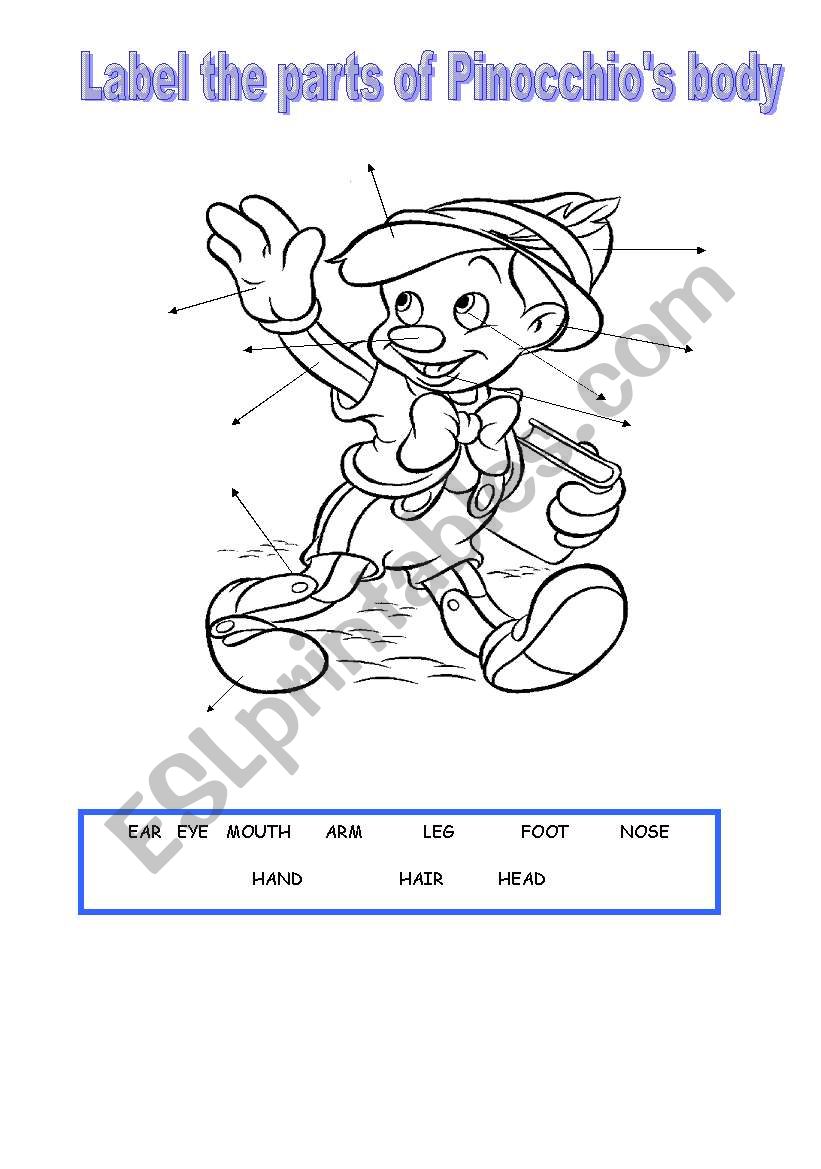 PinocchioÂ´s body worksheet
