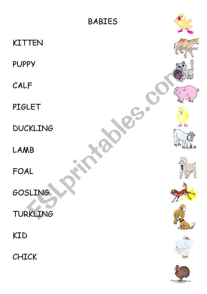 BABIES worksheet