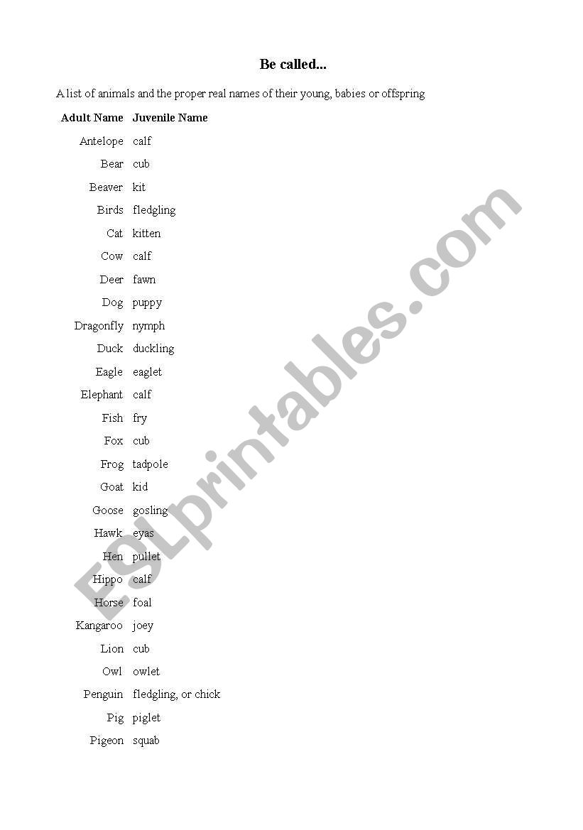 Animals name in spanish worksheet