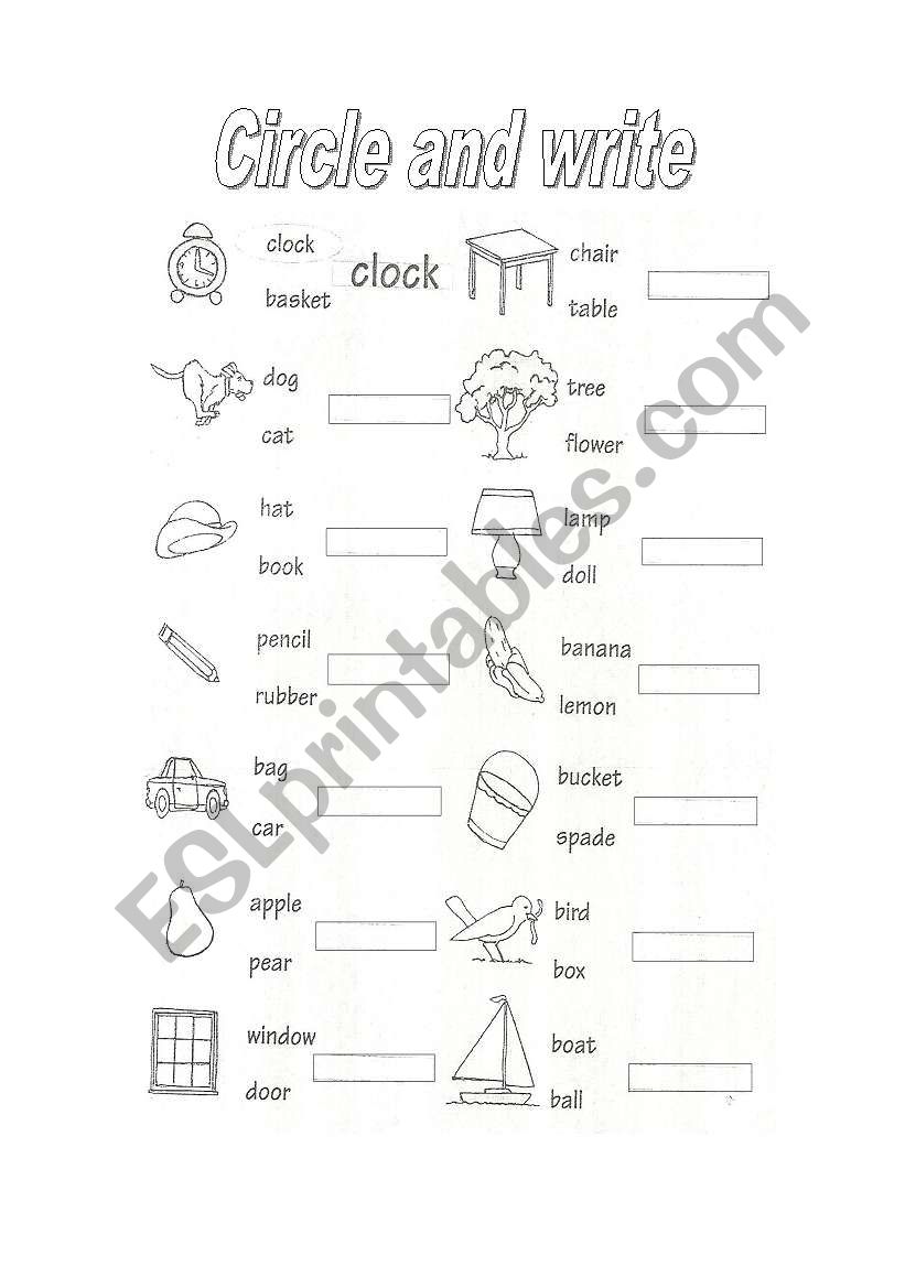 Review vocabulary worksheet