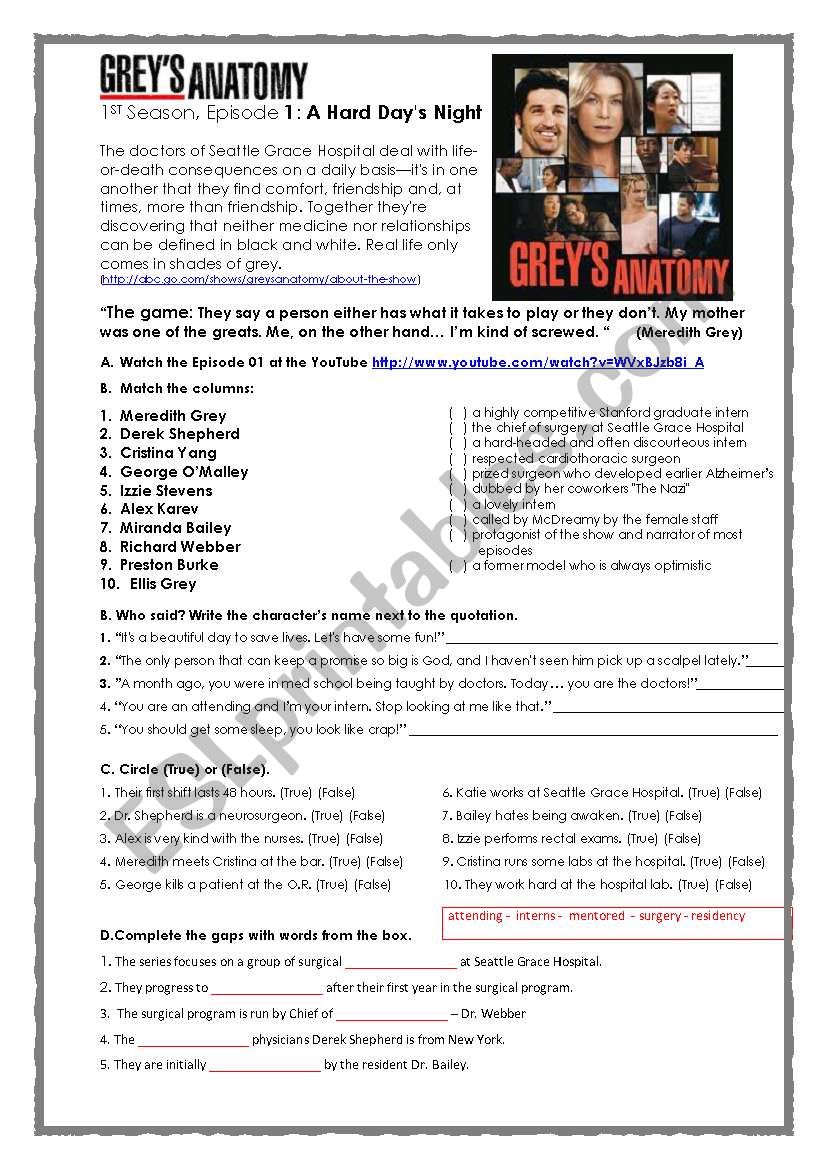 Greys Anatomy Activity worksheet