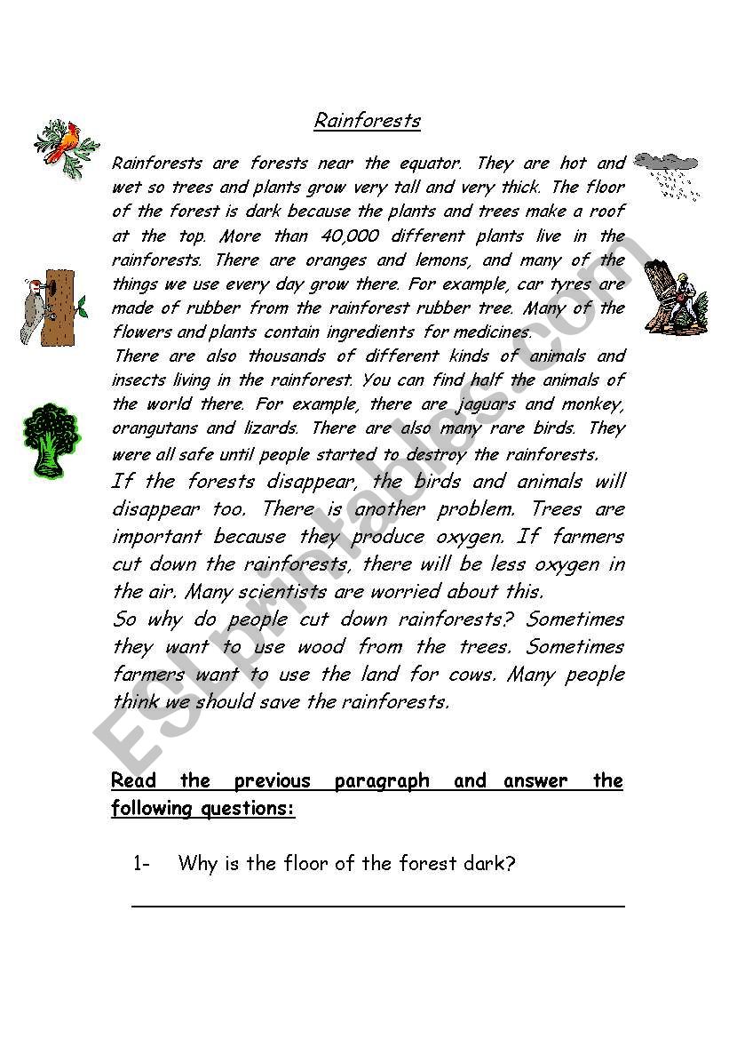 reading (rainforest) worksheet