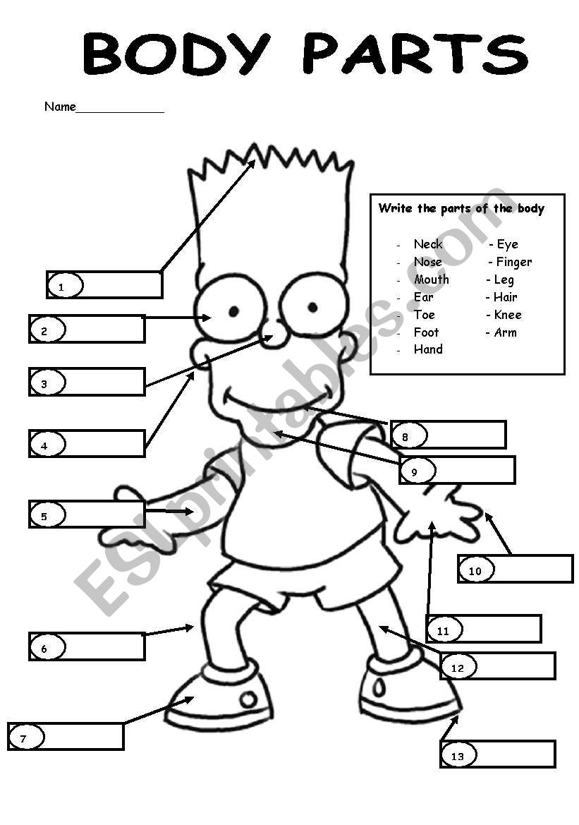 Label Bart´s body parts. - ESL worksheet by amycock2