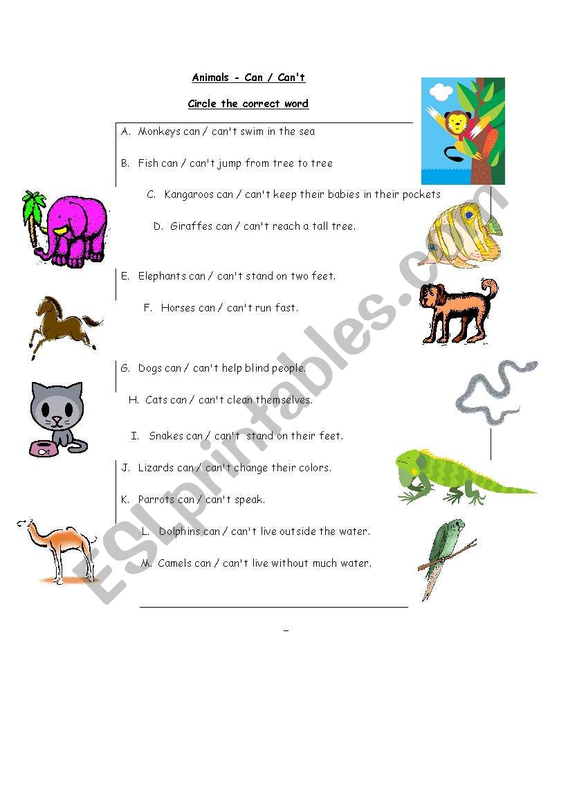 Animals can / cant worksheet