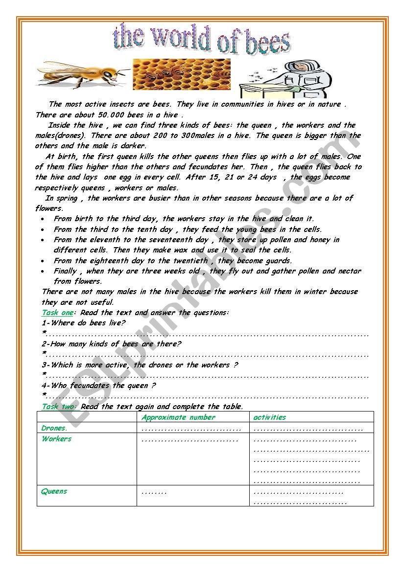 the world of bees worksheet